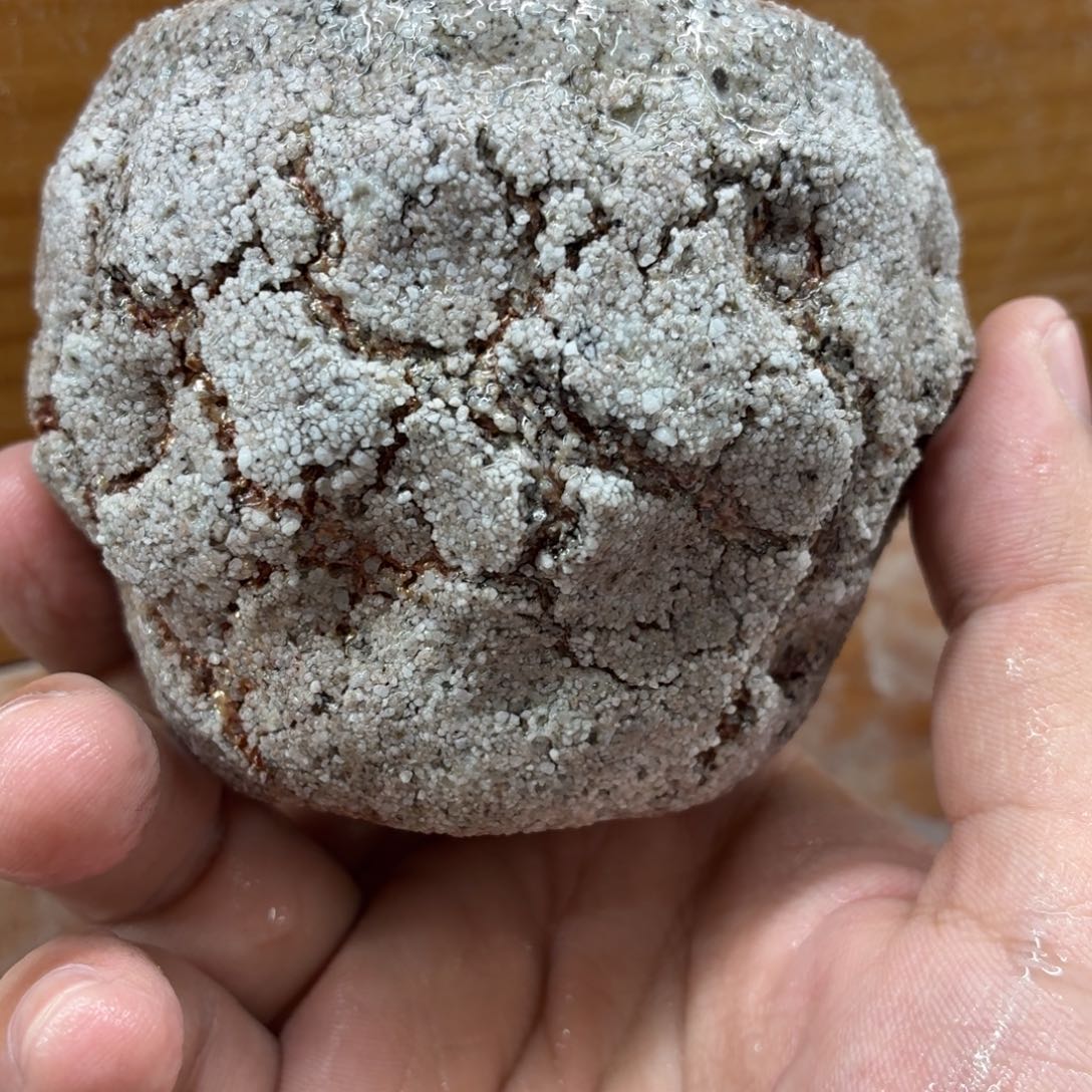 陶园柴烧，精品高货5