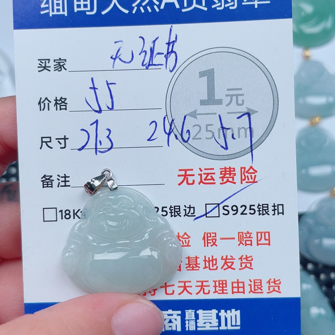 翡翠银S925镶嵌颈饰