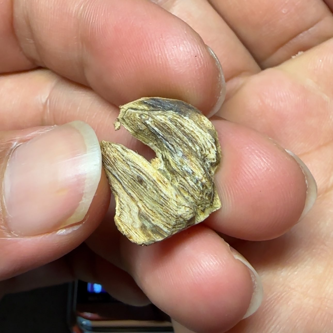 【闪购商品】沉香沉香香囊玉*国香系虎斑奇沉香0.46g