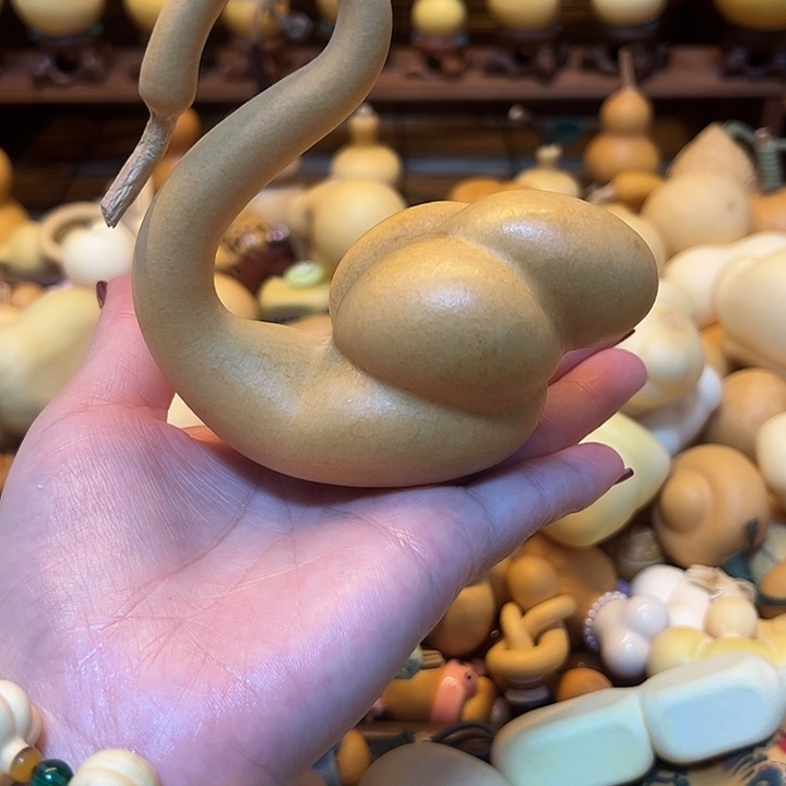 J***儿大叶紫檀（黑酸枝木类）