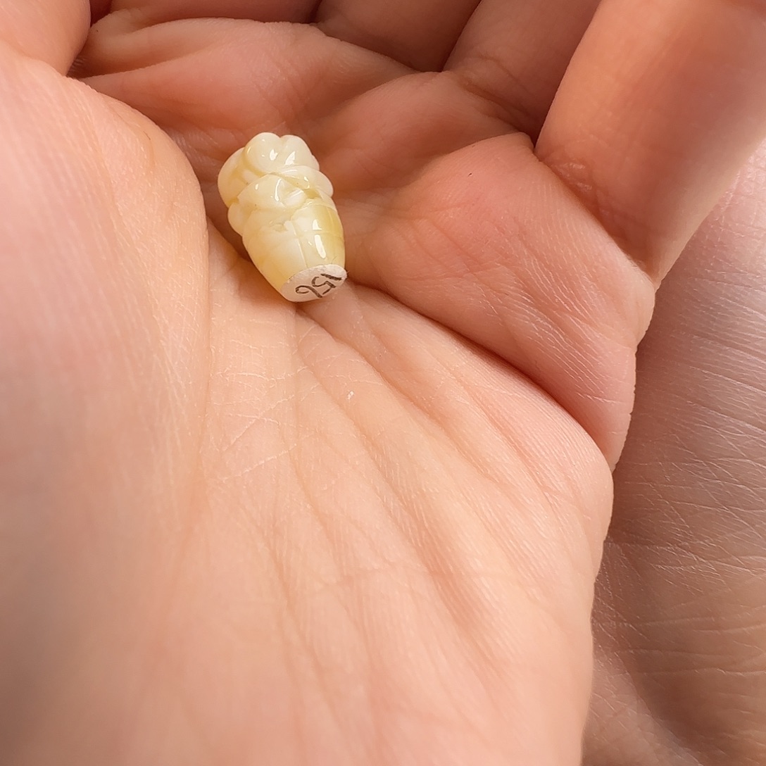 琥珀珠宝奇石未镶嵌M*