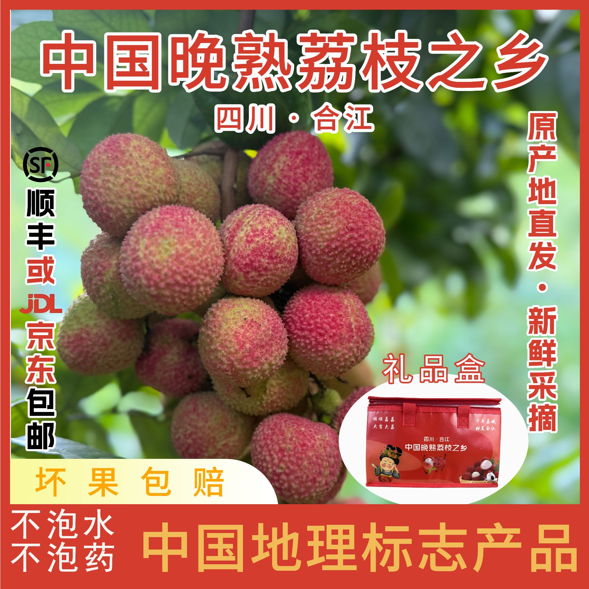怀枝荔枝川渝收货请拍这个，包邮