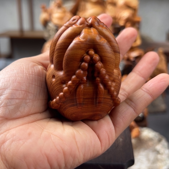 柏木（崖柏）崖柏太行山脉