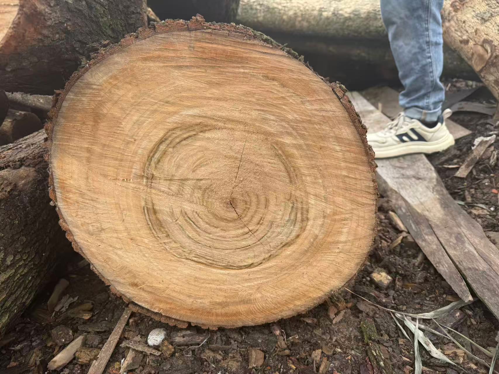 原材料实物以直播间为准 