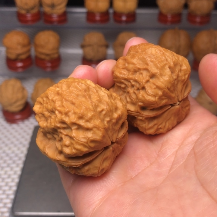 文玩核桃把件18至尊蟾王