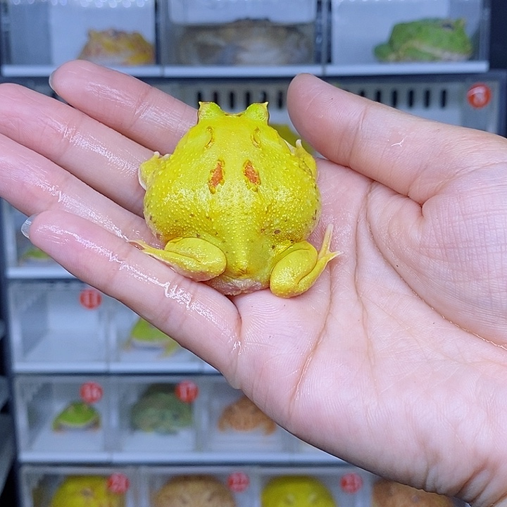 特价秒杀现货特价