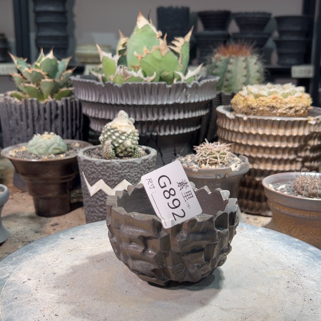 景德镇手工素里内口8.7号6