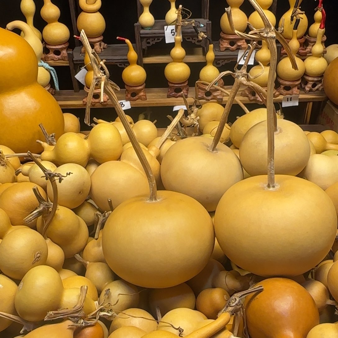 反反复复反反复复反反复复