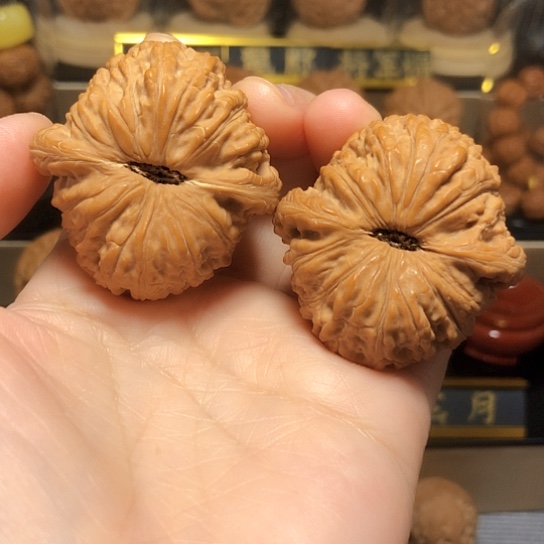 精品野生泥鳅背全品货头