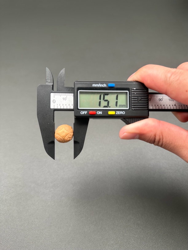 尼泊尔凤眼菩提麒麟尺寸15.1一物一图