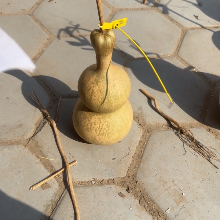 咕噜咕噜咕噜咕噜