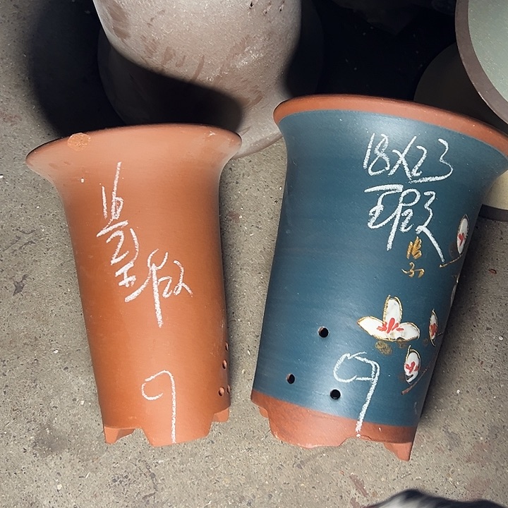 周三周四再说再说自主学习   