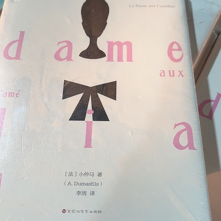 茶花女新书推荐正版