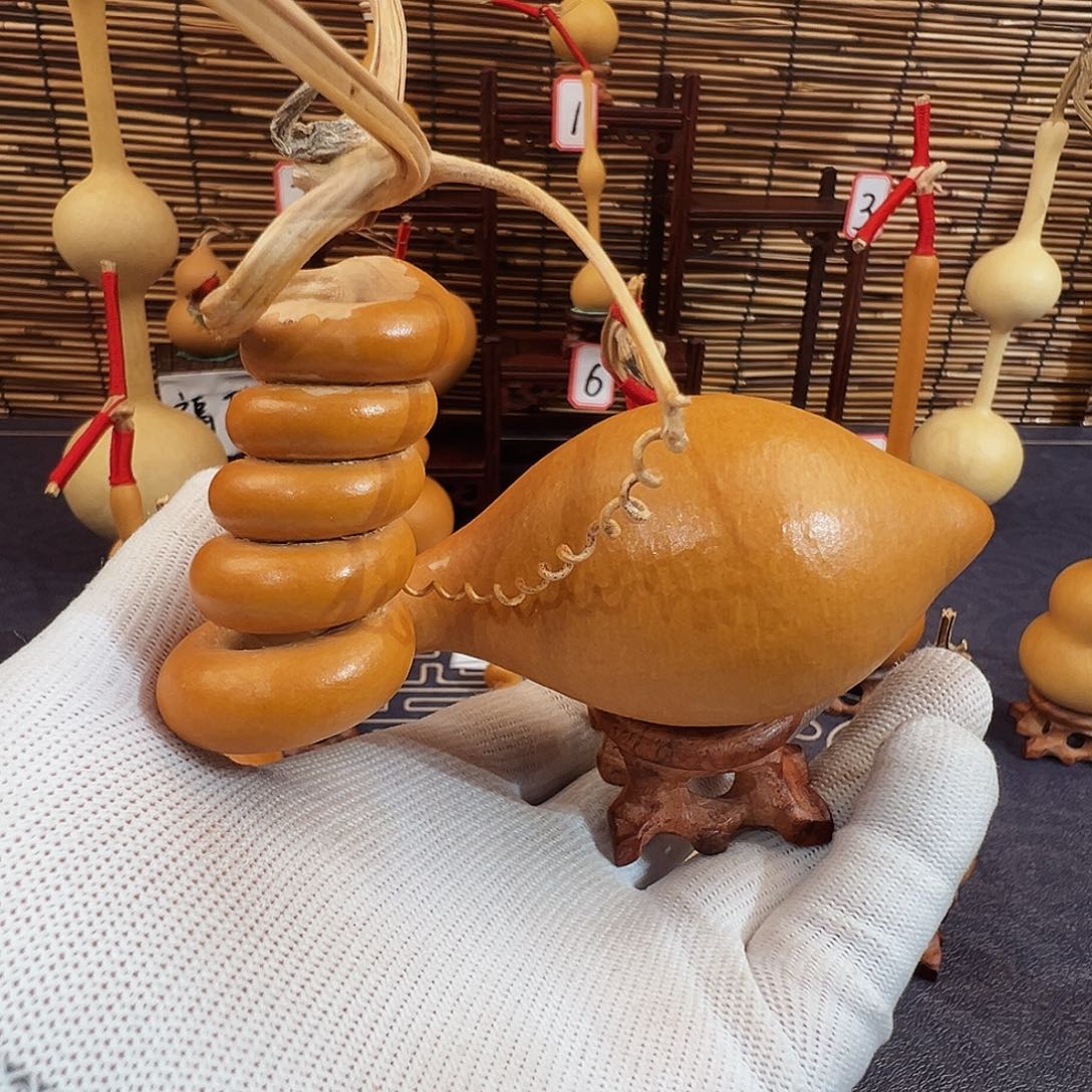 ༺**༻我们的生活也是如此的丰富多彩啊