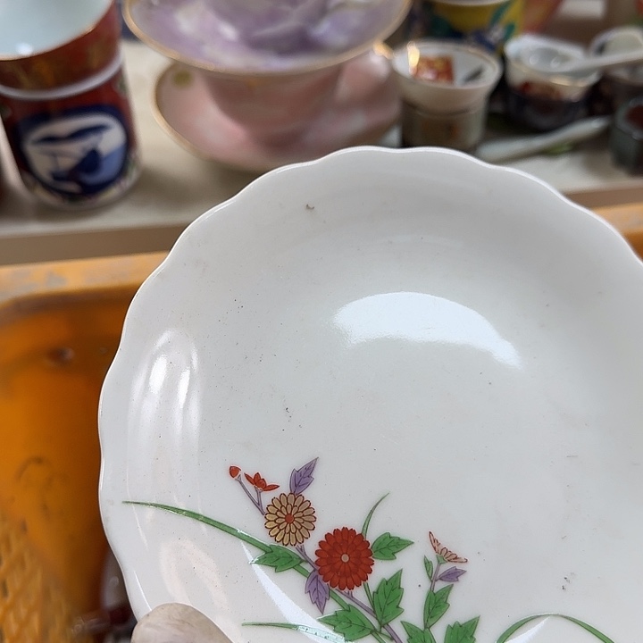 碟开播啦…开播啦