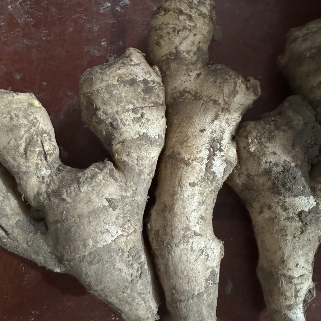 福利姜 适合炒菜榨姜汁