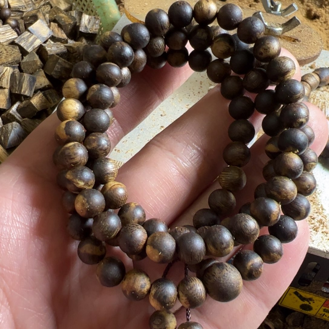 高油脂海南产区莺歌绿品种卡7多圈20克加