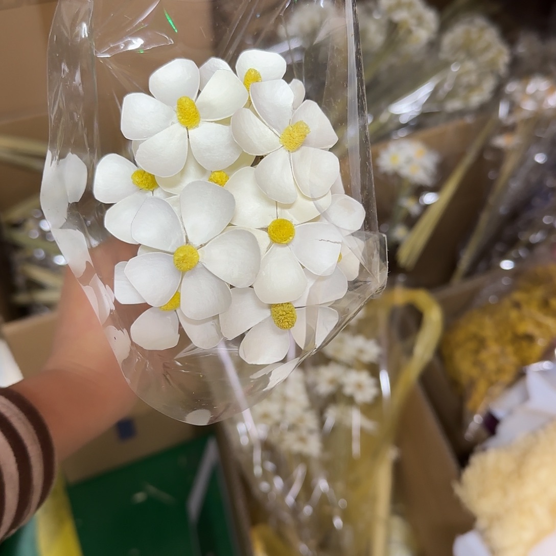 G115号经典款紫罗兰