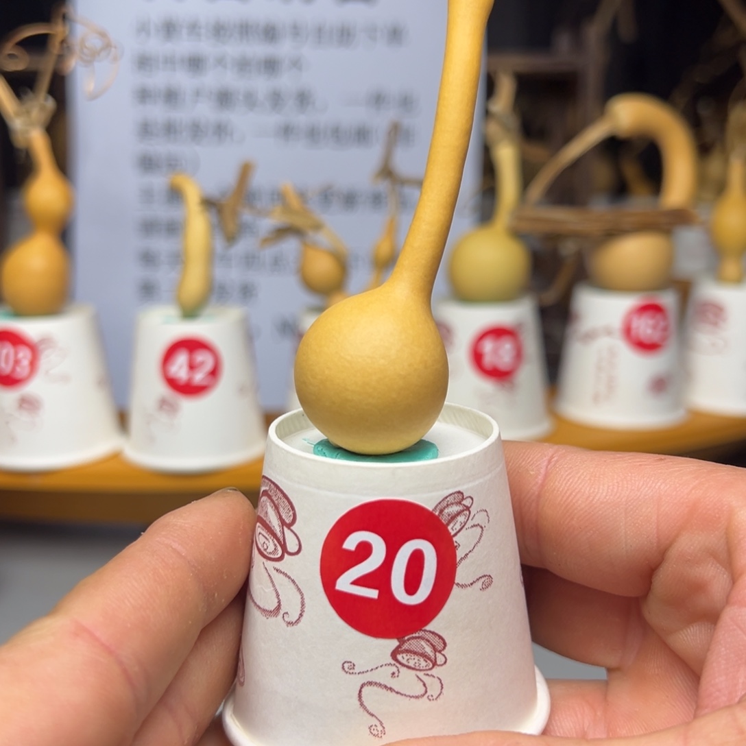 闪电购自助下单编号20