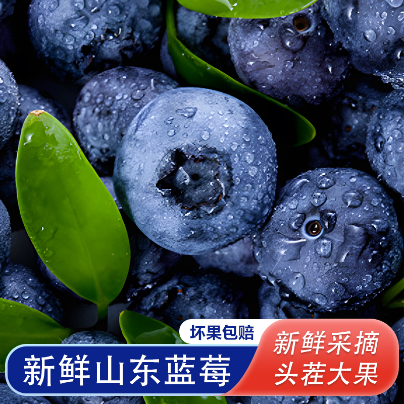 S1山东头茬蓝莓新鲜超特大巨无霸水果脆香甜国产当季多汁 