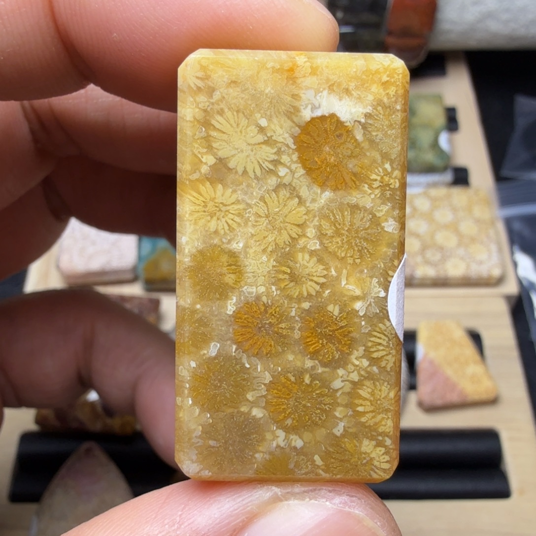 硅化玉未镶嵌纯天然色有机玉石保真色