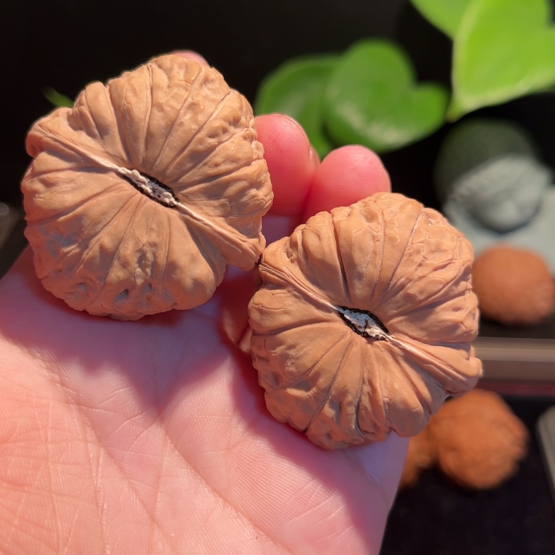 【闪购商品】文玩核桃把件42全品南瓜墩