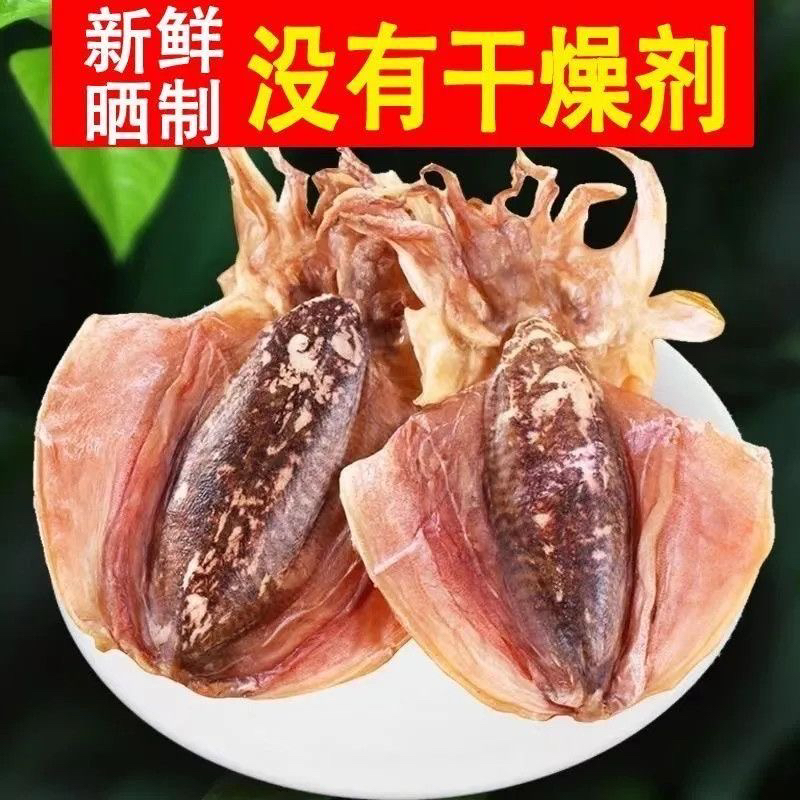 新晒淡干小墨鱼干煲汤营养食用淡干乌贼干目鱼干