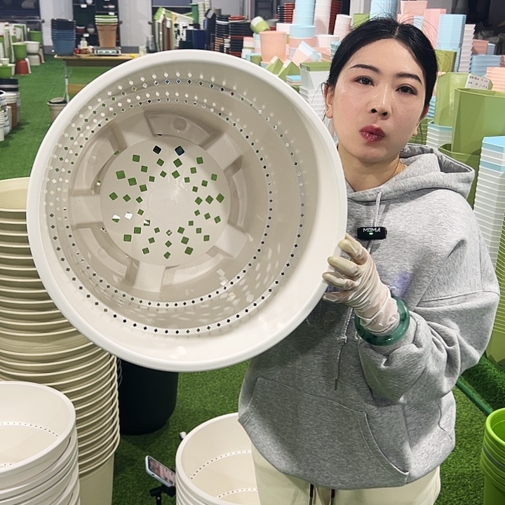 微瑕蓝莓盆口41高35白色3支无托