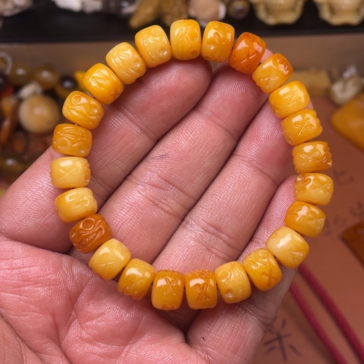 驼骨其他人工养殖