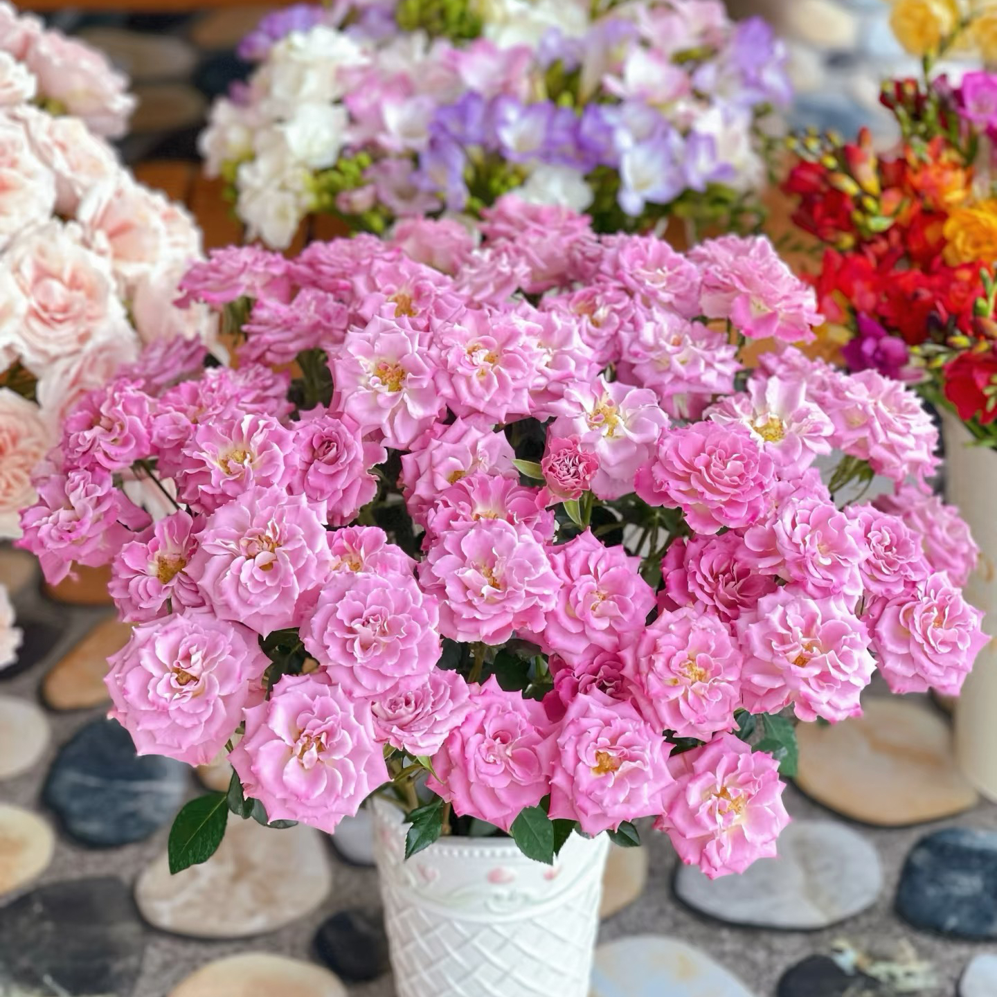 【花之物语】桃之灼多头玫瑰 包邮