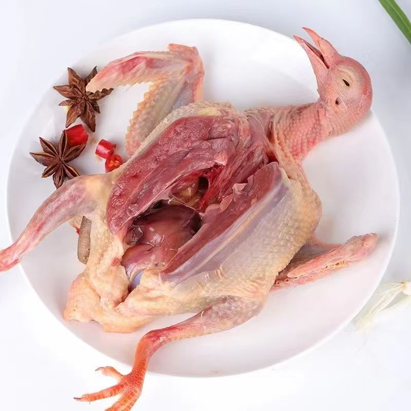 （拍3送3到手6只)带内脏农家散养鸽子现杀顺丰冷链滋补土鸽可炖汤