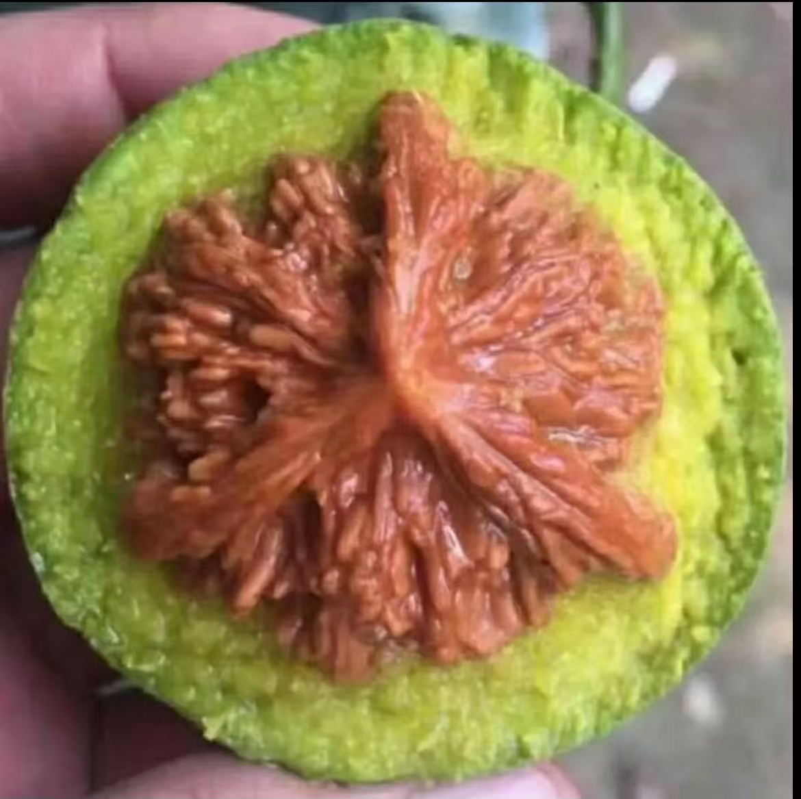 青皮文玩核桃带皮三棱四座楼狮子头磨盘虎头苹果园