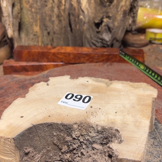 大果紫檀（缅甸花梨）