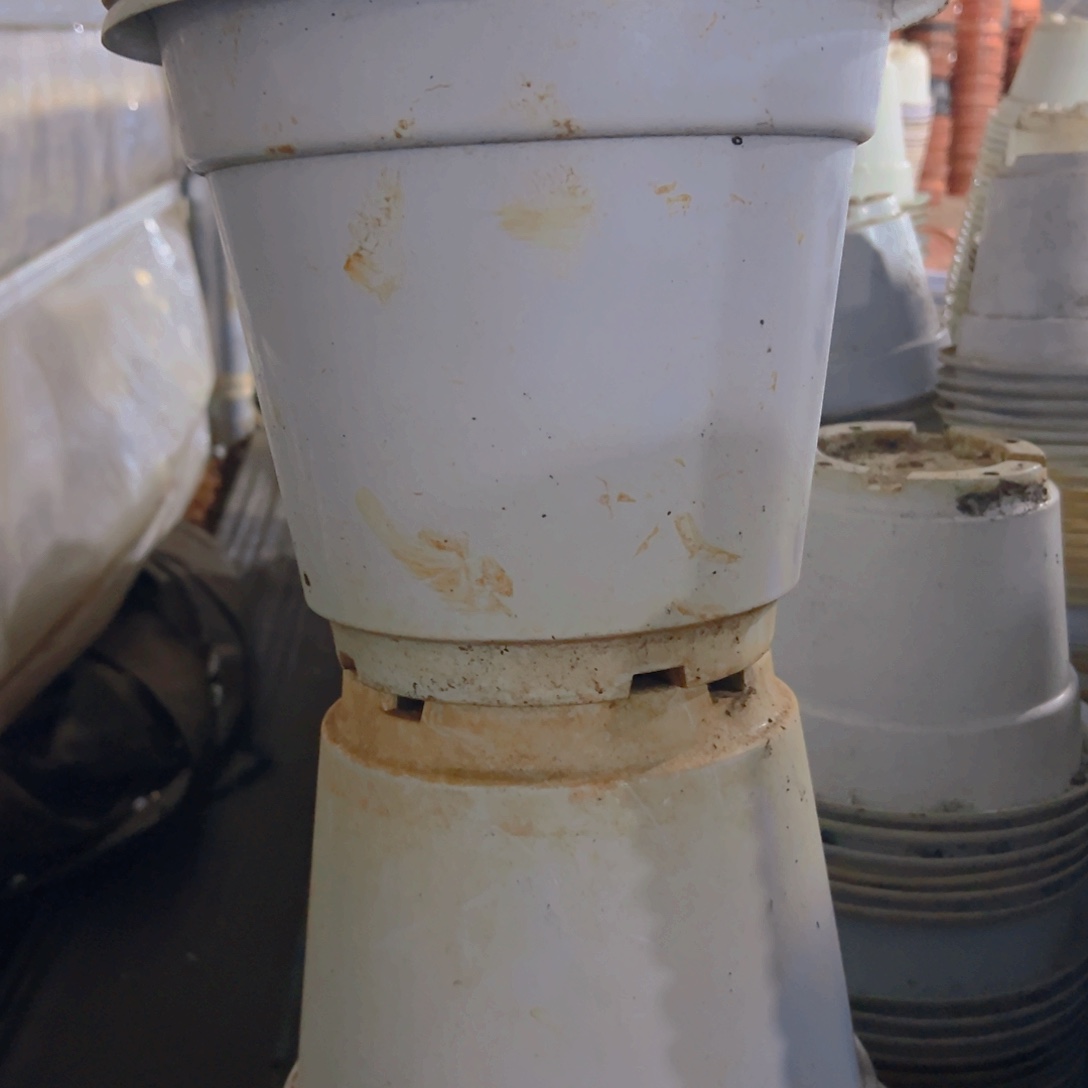 塑料白硬圆盆25外口径 20.5高 5个 