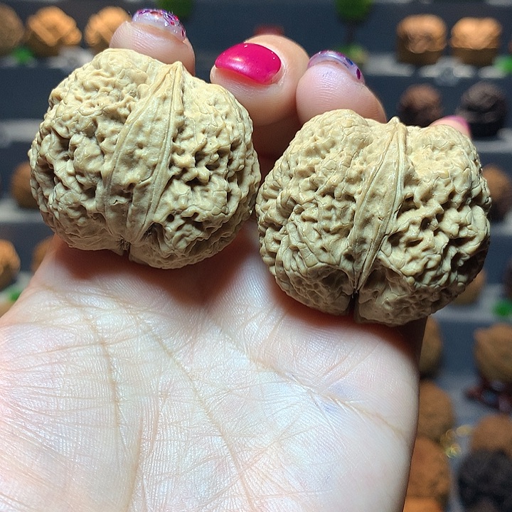 文玩核桃吊坠花中花生命6号