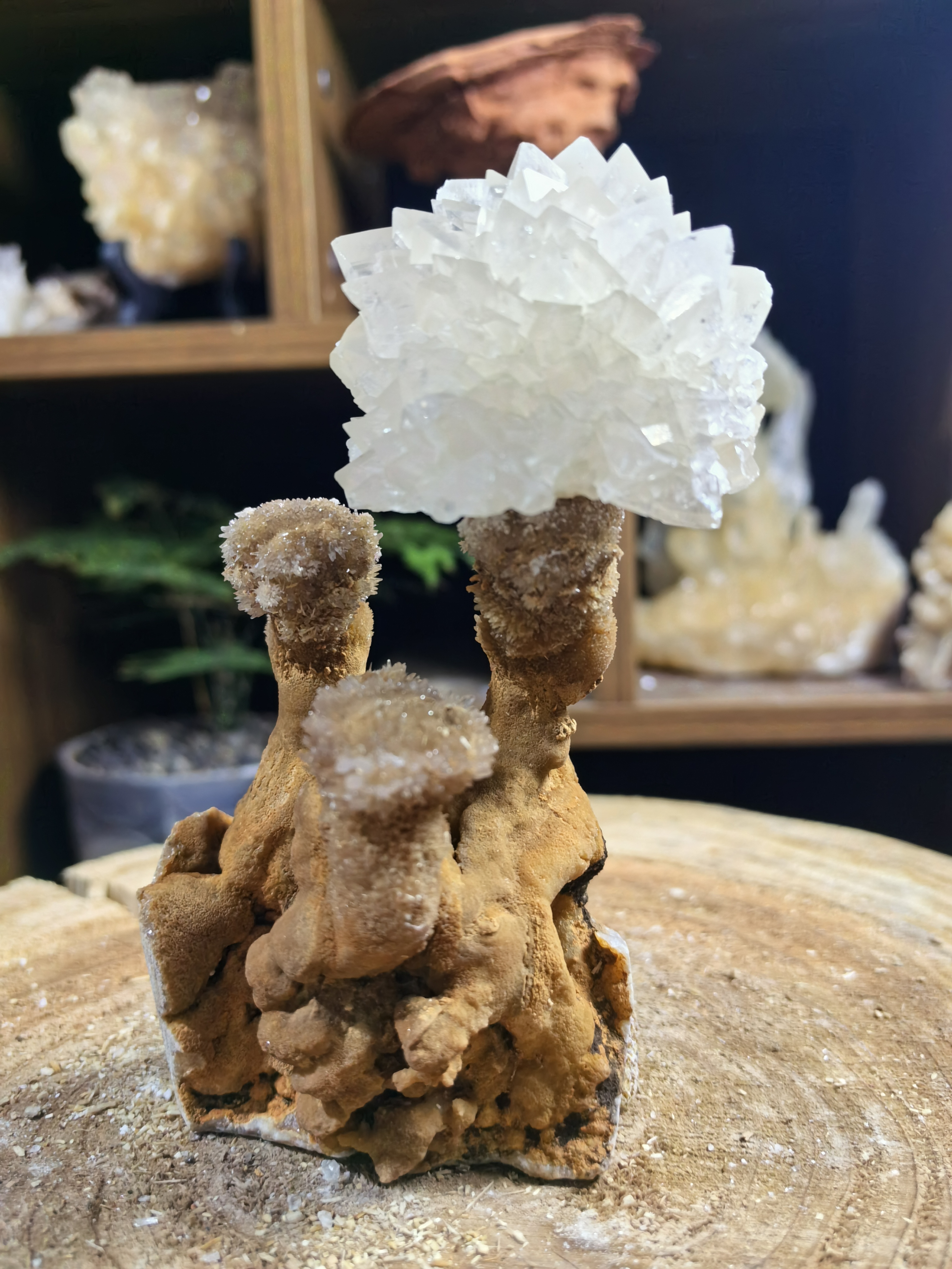 纯天然钟乳石奇石居家饰品桌面摆件