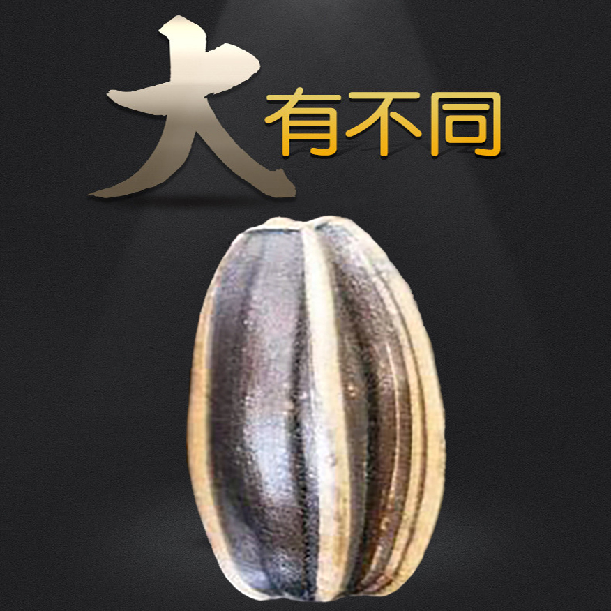 【发2斤】熟瓜子363双颗粒内蒙古特产原味363品种大颗粒葵瓜子