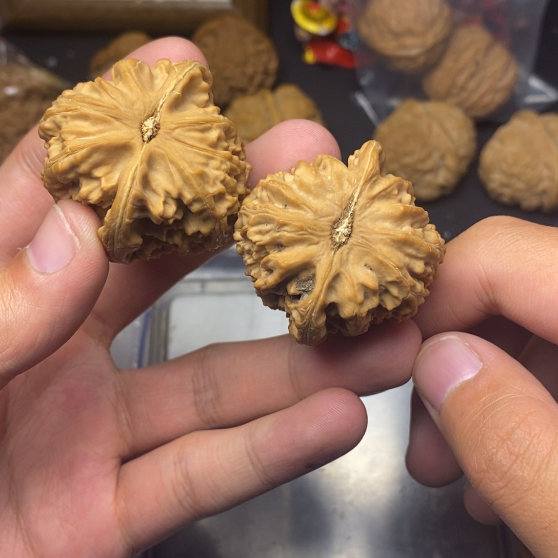 吊坠文玩核桃39白狮