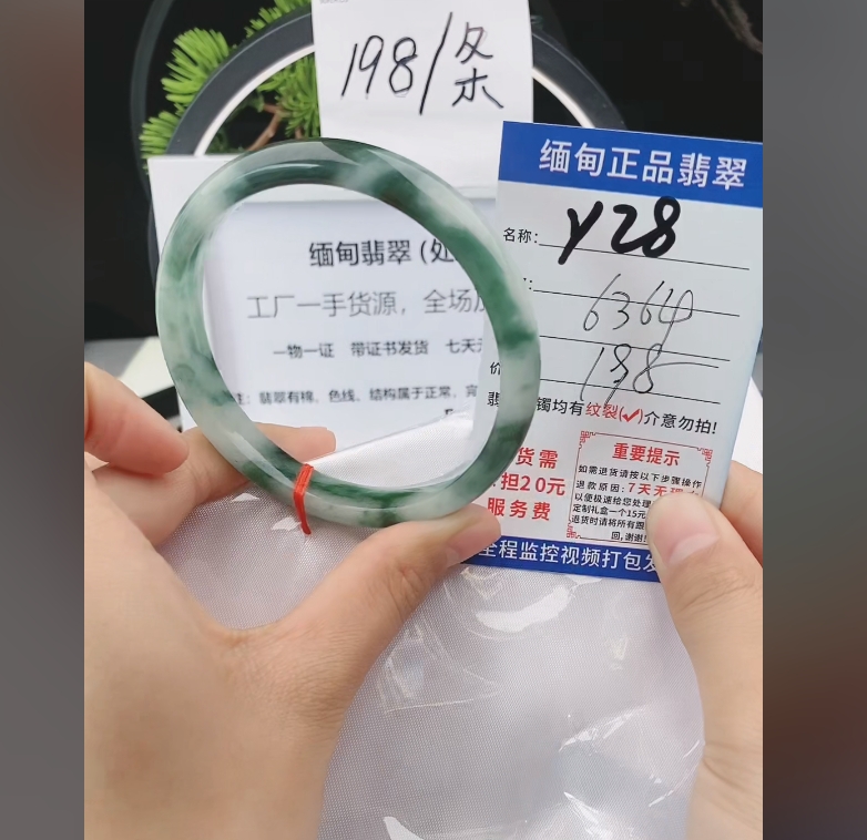 Y28缅甸翡翠手镯处理198/条【一物一证】实物以直播间为准