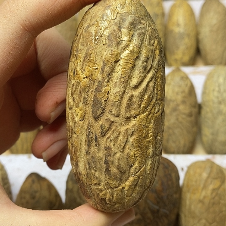 *****吊坠千眼菩提菩提