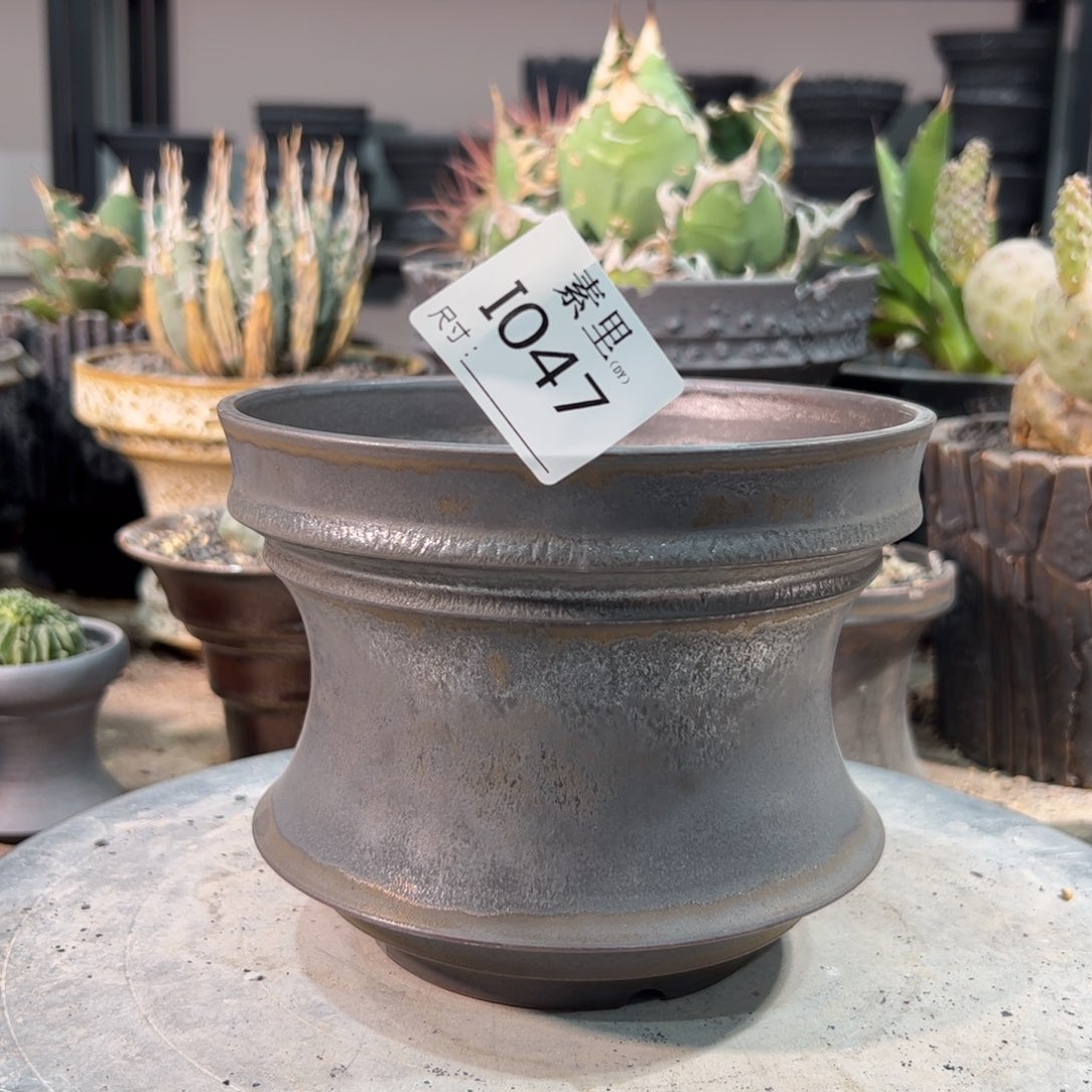 景德镇手工素里没有内口14.5高12