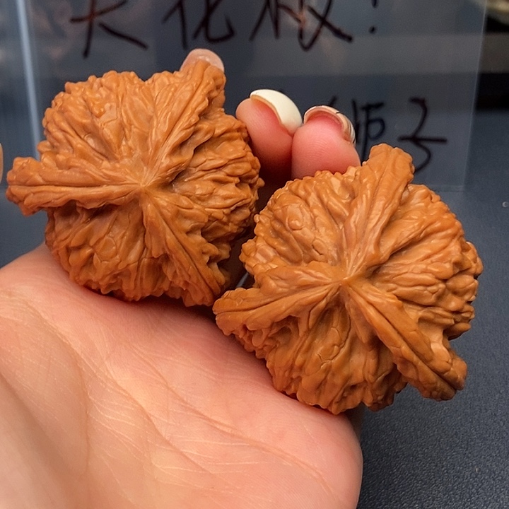 大***作大叶紫檀（黑酸枝木类）白狮子