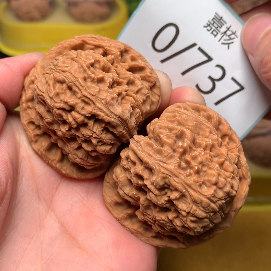 文玩核桃把件毕业粗筋红皮南疆石45