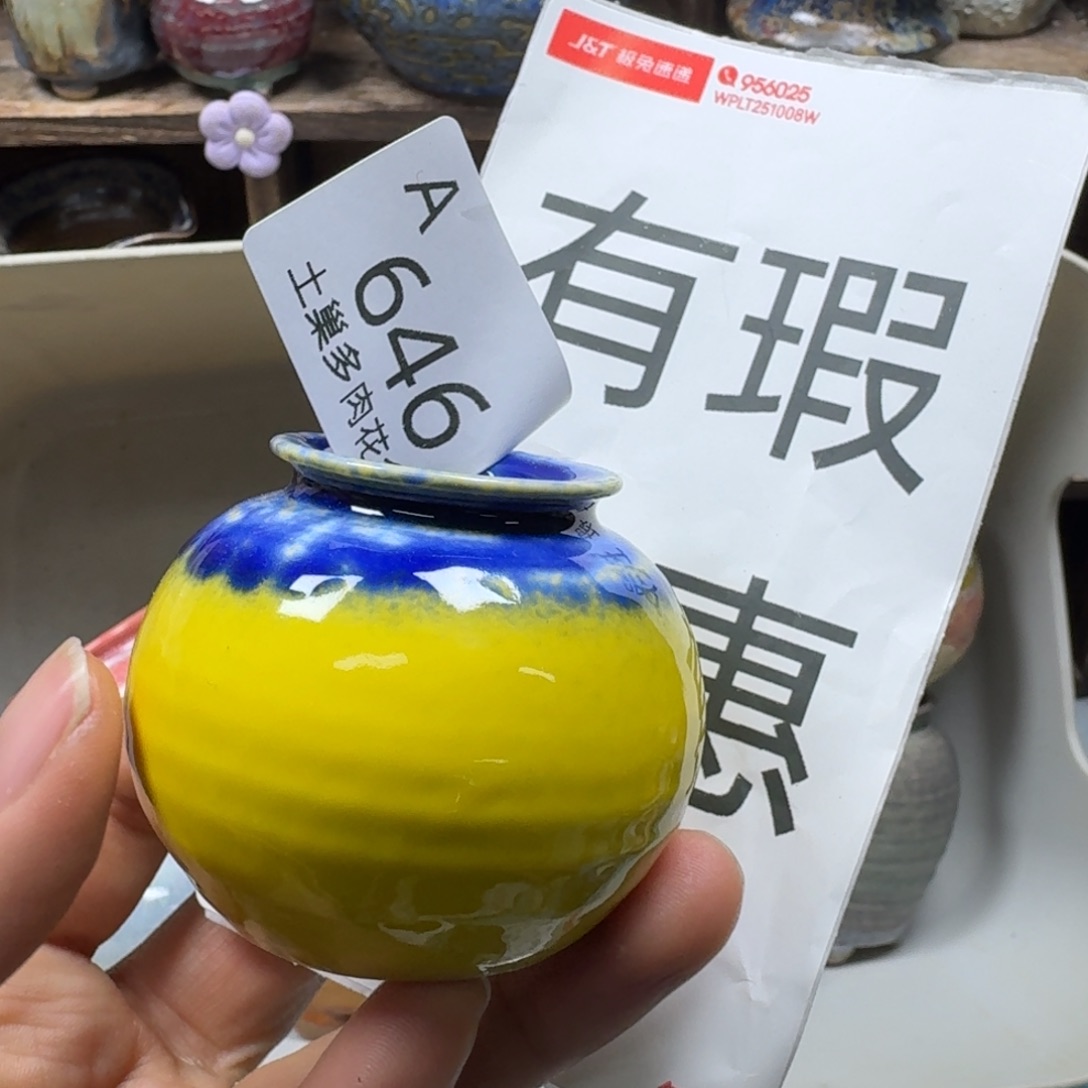 陶瓷艺术品设计与制作