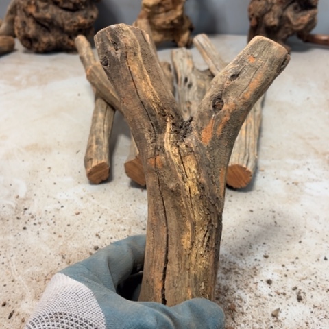 故***斯大果紫檀（缅甸花梨）