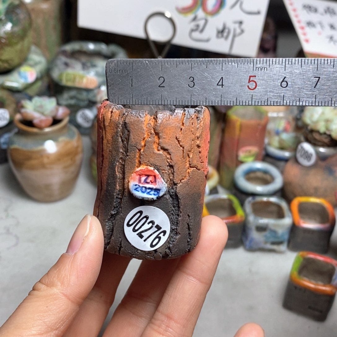 花盆拍3送一个小礼物
