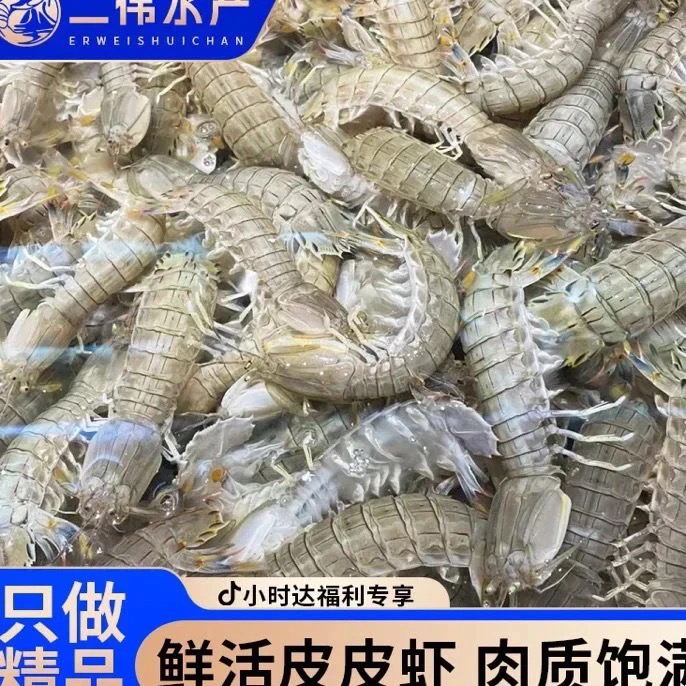 二界沟二虾爬子59.9三斤嫌小勿拍（保鲜不保活）