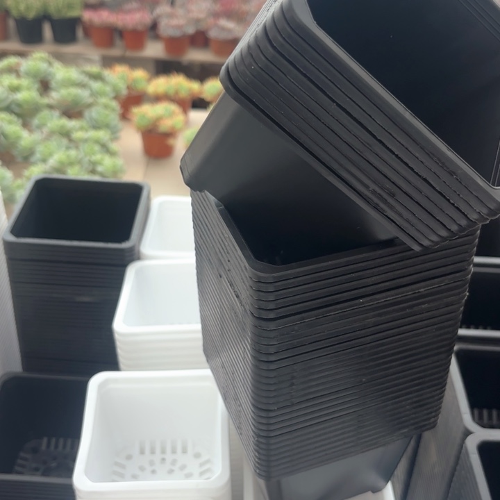 120黑方盆11公分高8公分20个