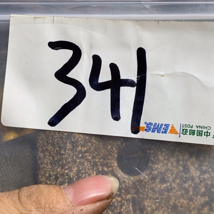 小***吉娜娜文玩杂项专属链接