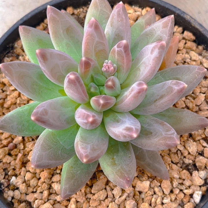 赵****11111111111111111111111111111111111